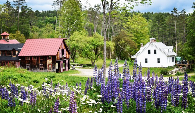 Idyllic Vermont Farmhouse On 216 Private Acres