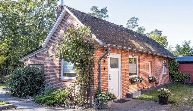 Idyllically situated on the edge of the forest, right in the town of Bleckede on the Elbe, with a small spa area in Bleckede