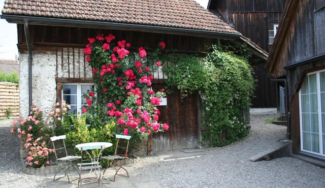 Idyllisches Wöschhüsli