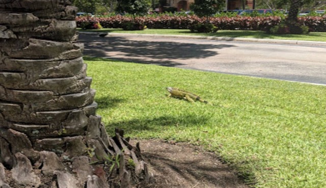 If There's a Will, There's a WAVE!