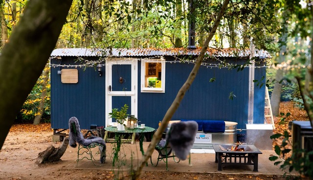 If you go into the woods today. Off-grid yet comfy, warm and luxurious