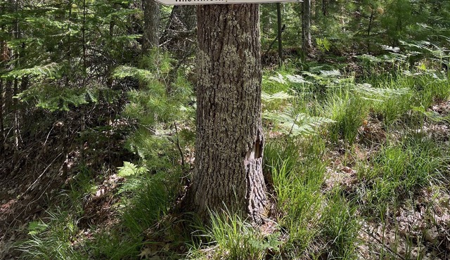 If you're looking for a relaxing Northwoods experience this is it! 2023 sale!