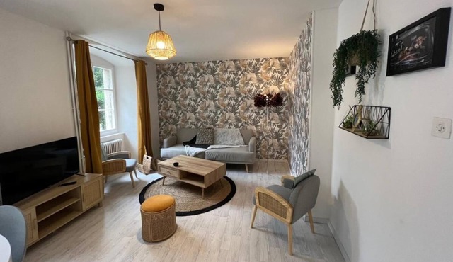 Il Était une Fois : 2,5 Pièces en Plein Centre Historique Animaux Acceptés