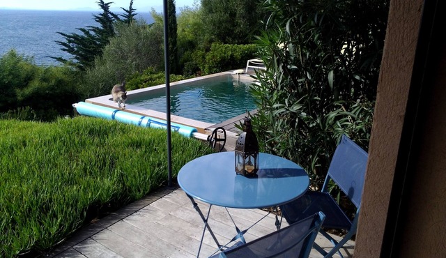 Ile du Levant from October 1 to April 30 "Bain de Diane room"