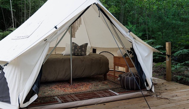 Ilex Forest Retreat: Camp Azalea
