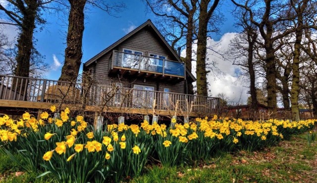 iLodge Ultra - Luxury Log Cabin with Hot Tub, Sauna and Games Room🏡