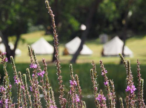 Iluka Retreat Glamping Village & Group Lodge Accommodation