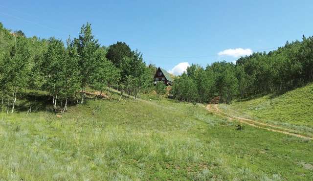 Imagine a romantic couple’s cabin nestled in the heart of the Colorado Rockies