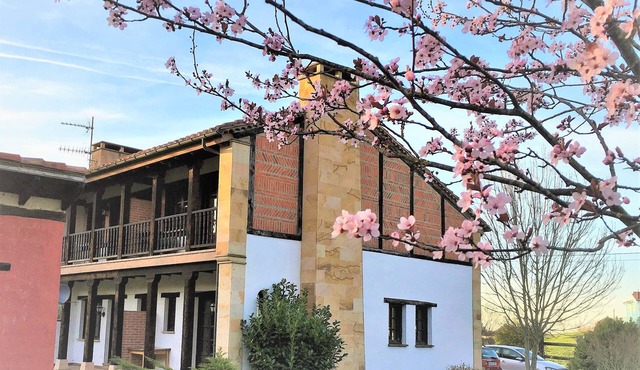 Imagine a wonderful environment, in the middle of nature and a stone's throw from the beach.