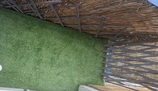 Immaculate 1-bed Apartment in Woodford Green