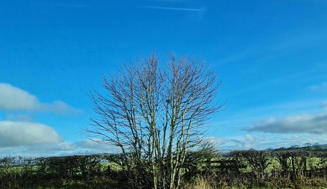 Immaculate 3-bed House in Durham Near Sedgefield