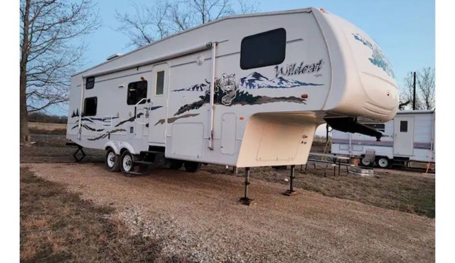 Immaculate Country Wildcat