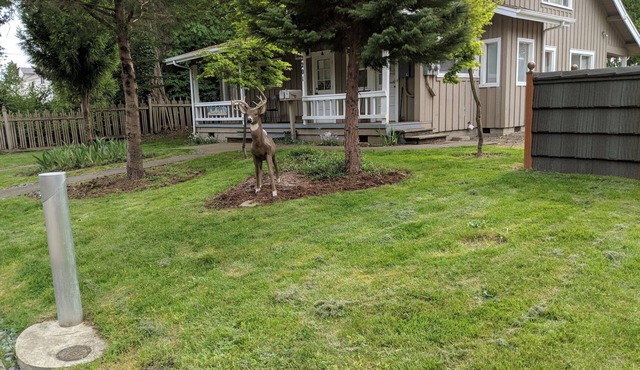 Immaculate one bdrm in South Capitol with all amenities and no deposits