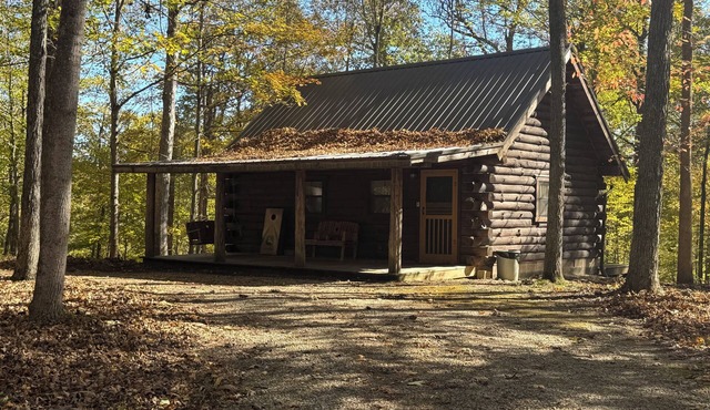 Immerse yourself in nature at High Ridge Cabin 3