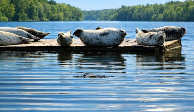 Immerse yourself in the rhythm of the sea- watch & feel the ever-changing tides.