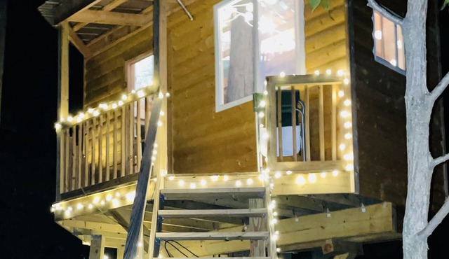 Immerse yourself with nature at this unique living tree-treehouse!