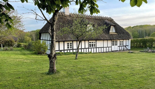 Immersion in timber frame house on Southwest Funen