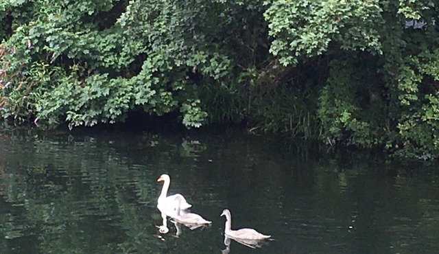 Impeccable 2-bed House in Attleborough