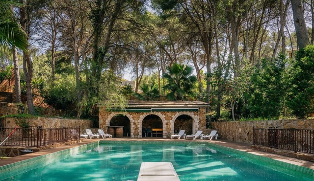 Impressive chalet in a quiet rural area near to the beach