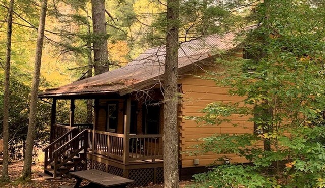 Impressive Secluded Cabin Nestled Amidst Trees in Monterville, West Virginia