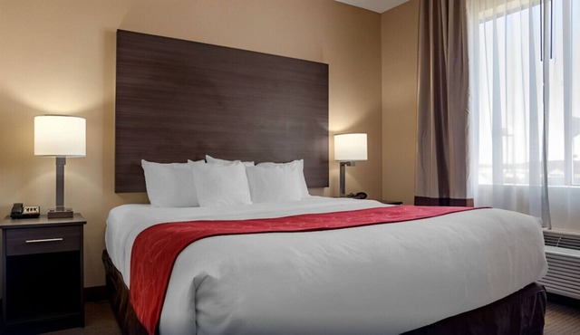 Impressively Cozy King Suite w/ Free Breakfast!