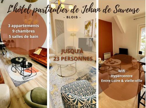 Inédit : appartements grandes capacités sur les quais de Blois - 23 pers