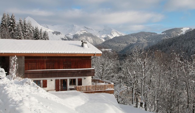 In a magnificent chalet in Les Gets, apartment and garden not overlooked, Multipas