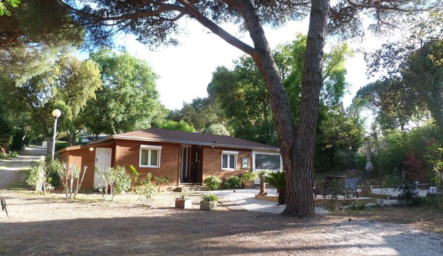In a peaceful setting among pines and oleanders near St Tropez.