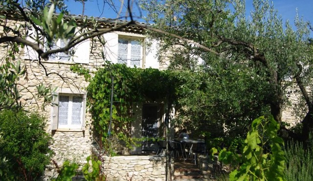 IN A PROVENCAL DROME ON AN ORGANIC DOMAIN - VINES AND OLIVE TREES