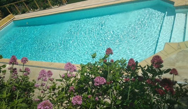 In a quiet and wooded property, the Breizh cottage, ideal for the family