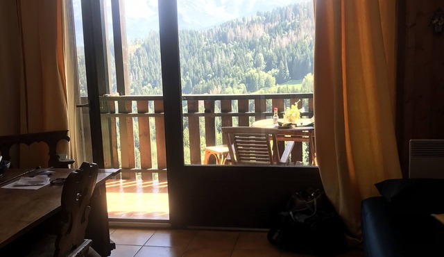 In front of Mont Blanc, full south, charming