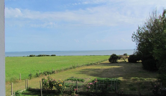 IN FRONT OF THE SEA. ALMOST PENERF ISLAND. WIRELESS.