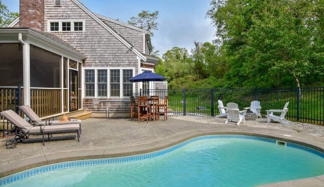 In-Ground Plunge Pool Dog Friendly!