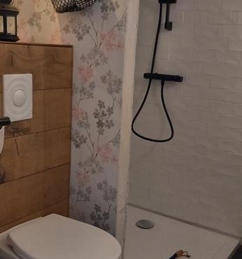 In het spoor van de wolf