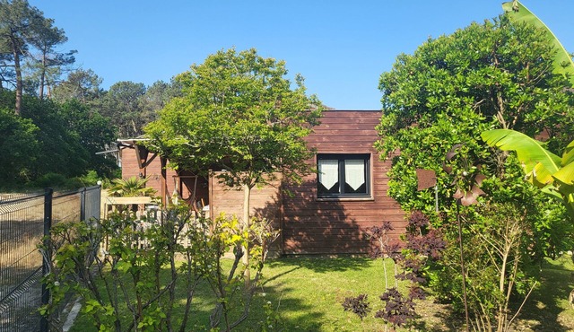 In Mimizan-plage sud, small wooden house facing the forest, 2km from the ocean
