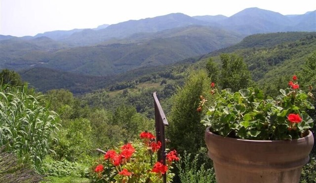 IN MONTFERRER NOT ARLES! nFARMHOUSE STUDIO APPARTEMENT WITH A VIEW TO LIVE FOR !