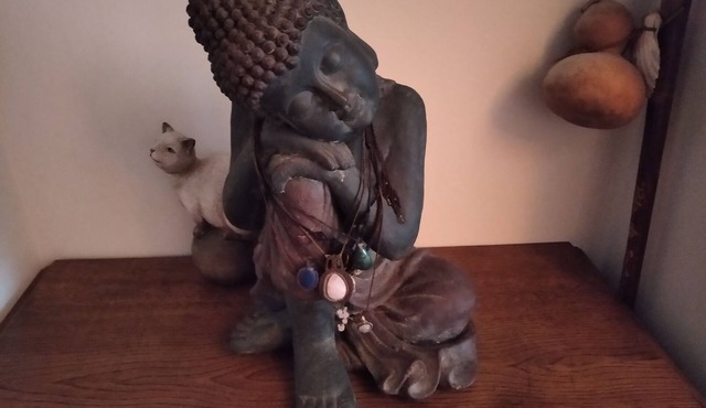 In quiet countryside, 2km from Paimpont, bedroom with separate entrance