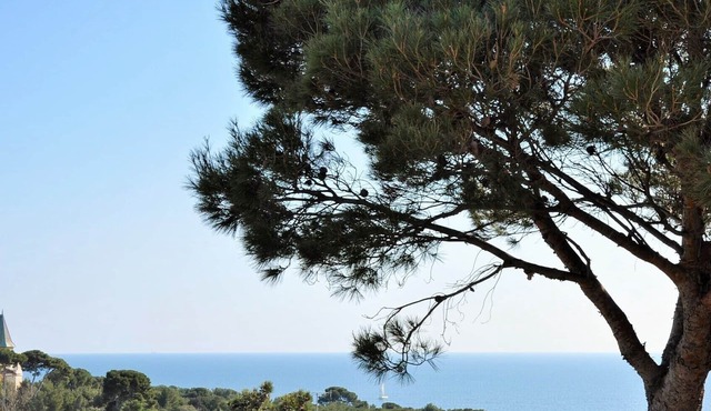 IN SAUSSET LES PINS. MAGNIFICENT APARTMENT ref: 3 stars close to the sea.