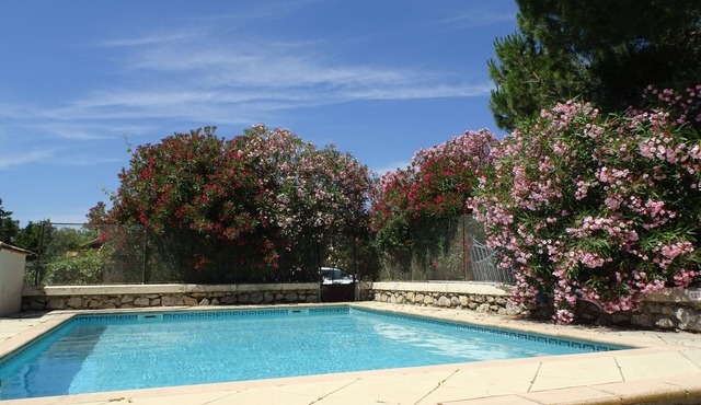 In the Bird Paradise, an Oasis of Silence, the Best Rest for You!