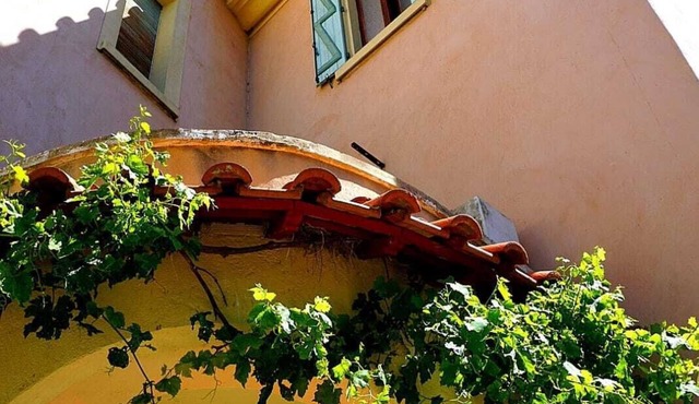 In the bird paradise, an oasis of silence, the best recreation for you!