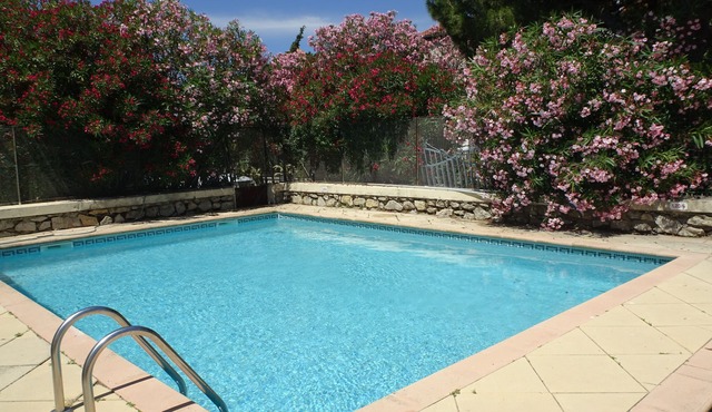 In the Bird Paradise, an Oasis of Silence, the Best Rest for You!