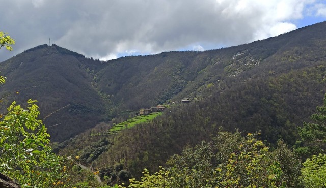 In the Cévennes at the foot of Mont Aigoual, 1km 2 from Valleraugue in the Gard department