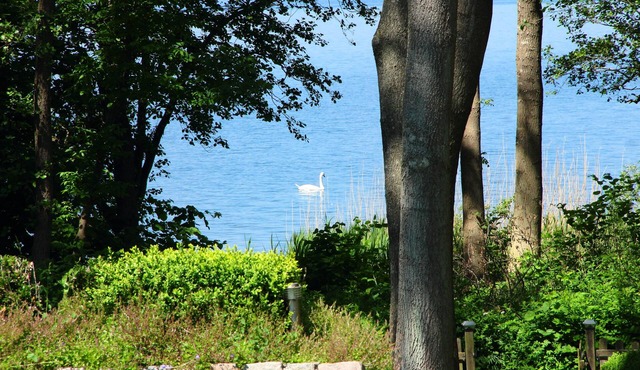 In the first location to the Wittensee with lots of space, WiFi, lake view in Bünsdorf