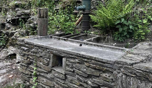 In the heart of the Cévennes National Park on the Stevenson trail