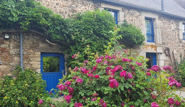 In the heart of the Morbihan