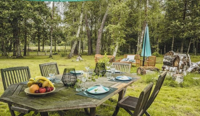 In the heart of nature, property 15 minutes from Chateau de Chambord!