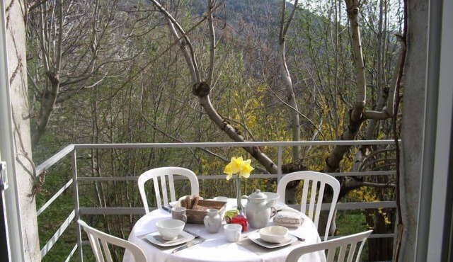 In the heart of a chestnut grove