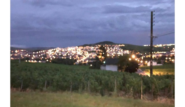 In the heart of Champagne's vineyards