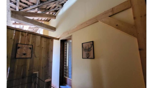 In the heart of the Pyrenees "Les cerfs"