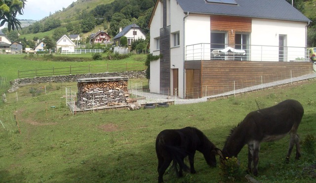In the Heart of the Ossau Valley Detached house for 6 to 8 people